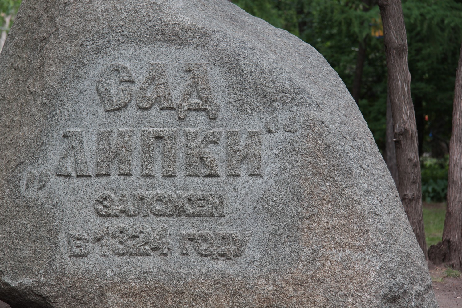 Городской сад «Липки»
